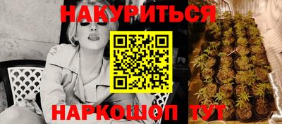соль ск Новозыбков