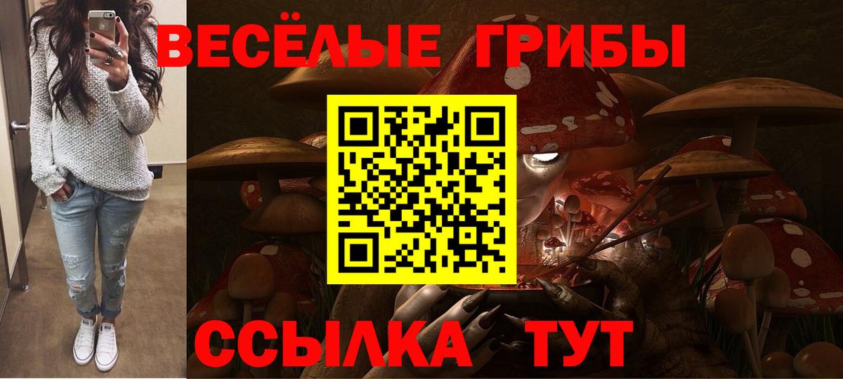 Узловая  купить наркоту  Псилоцибиновые грибы Magic Shrooms  Вход с VPN  Псилоцибиновые грибы ЛСД 